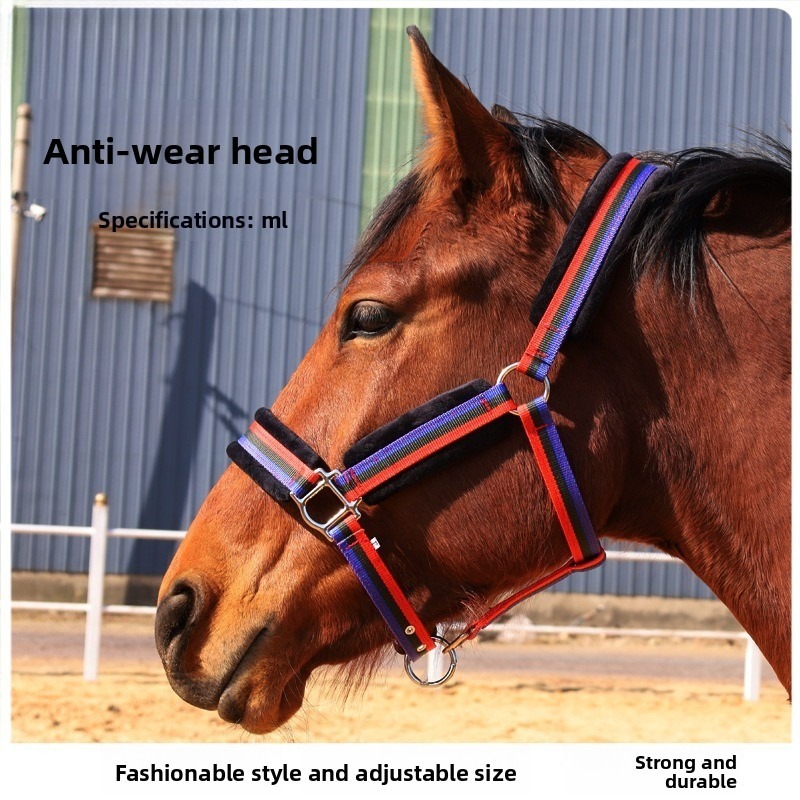 Headcollar Rope Set - 耐摩耗性テキスタイル製馬用ハーネスセット、耐摩耗性ヘッドカラーとリードロープ付き、完全な乗馬用馬具セット
