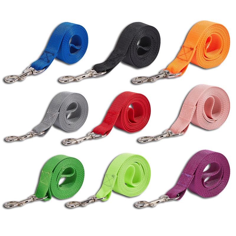 ペット用リード＆首輪セット、丈夫な犬用リード、散歩トレーニン - Headcollar Rope Set のレビューと価格