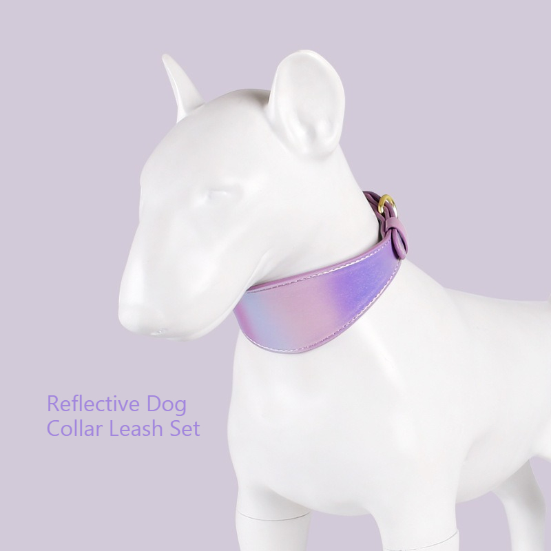 反射素材入り革製犬用首輪とリードセット、夜間安全散歩用、耐久 - Headcollar Rope Set のレビューと価格