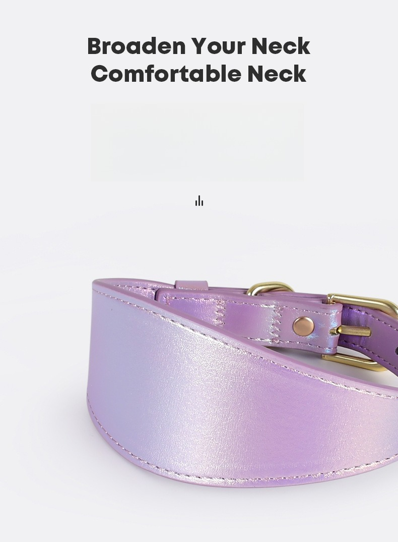 反射素材入り革製犬用首輪とリードセット、夜間安全散歩用、耐久 - Headcollar Rope Set のレビューと価格